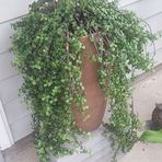 Linda Kolset - Facebook Profile Picture of Linda Kolset (@Linda-Kolset) on Facebook