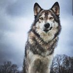 Profile Picture of Λουκα Πολυκαρπε 🧿 (@luca_polycarpe135) on Instagram