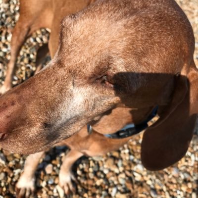 Profile Picture of James (@cydaps) on Twitter