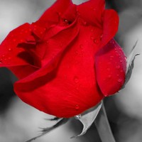 Profile Picture of Jefferson James (@jefferson-james-7) on Quora