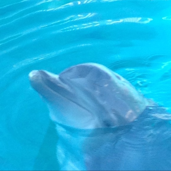 Akshay Bhat - Poshmark Profile Picture of Akshay Bhat (@akshaybhat) on Poshmark