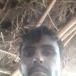 Profile Picture of हंसराम मस्तराम (@hnsraammstraam) on Instagram