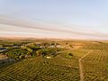 Profile Picture of Olivedale, Western Capeon Wikipedia