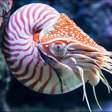 Profile Picture of Sean Monroe (@seanmonroe451) on Twitter