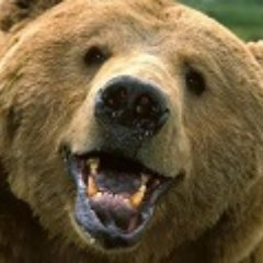 Jeffrey Dobbin - Twitter Profile Picture of Jeffrey Dobbin (@TheMisterJef) on Twitter