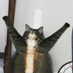 Profile Picture of Mark Satin (@mark_satin) on Instagram