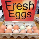 Profile Picture of Albert Lea Farmers Market (@alfarmersmarket) on Instagram