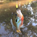 Profile Picture of Doug Cain (@dougee_fressh) on Instagram