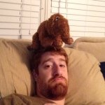 Profile Picture of Marc Oppenheim (@moppenheim1) on Instagram