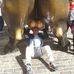 Profile Picture of Vito Toscano (@vito.toscano.7) on Facebook