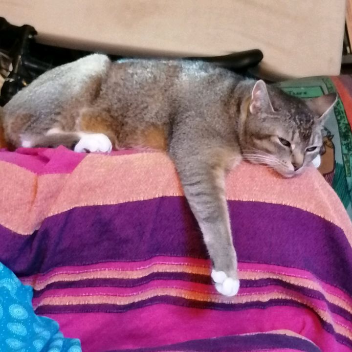 Profile Picture of Kate Olivier (@@oli_kat_) on Tiktok