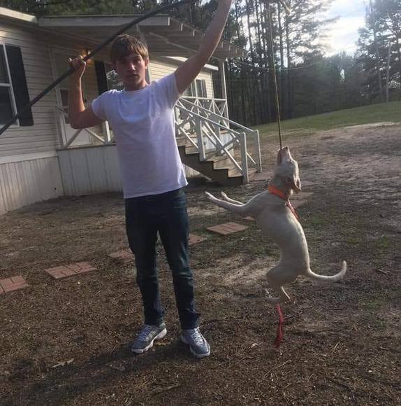 Profile Picture of Drew Ball (@drewwball99) on Poshmark