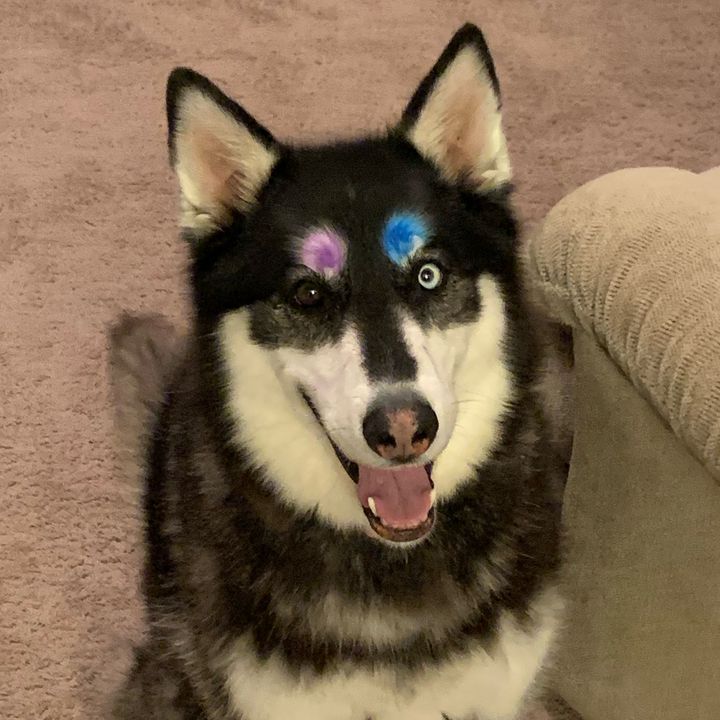 Profile Picture of ChristopherJ (@cjdell01) on Tiktok