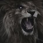 Profile Picture of Amirhamza Kurais (@amirhamza.kurais) on Facebook