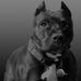Profile Picture of Mike Enlow (@mike.enlow.3) on Facebook