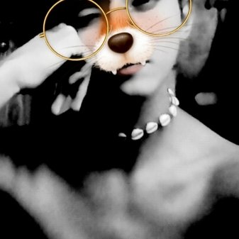 Joshua Navarrete - Twitter Profile Picture of Joshua Navarrete (@Joshuanavarre13) on Twitter