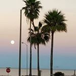 Profile Picture of Shari Schlehuser Beams (@schlehuserbeams) on Instagram