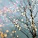 Profile Picture of Catherine Jalbert (@cattyj) on Pinterest