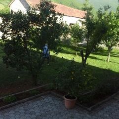 Profile Picture of T_A.Zendeli (@a_zendeli) on Twitter