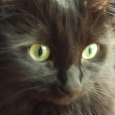 Profile Picture of Sandra Parrish (@sandyjo55) on Twitter