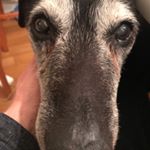 Profile Picture of Brad Coburn (@titocoburn) on Instagram