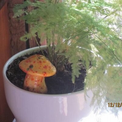 Profile Picture of Lorrie Jackson (@LorrieJackson67) on Twitter