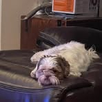 Profile Picture of Allan Hamm (@allan.hamm.39) on Facebook