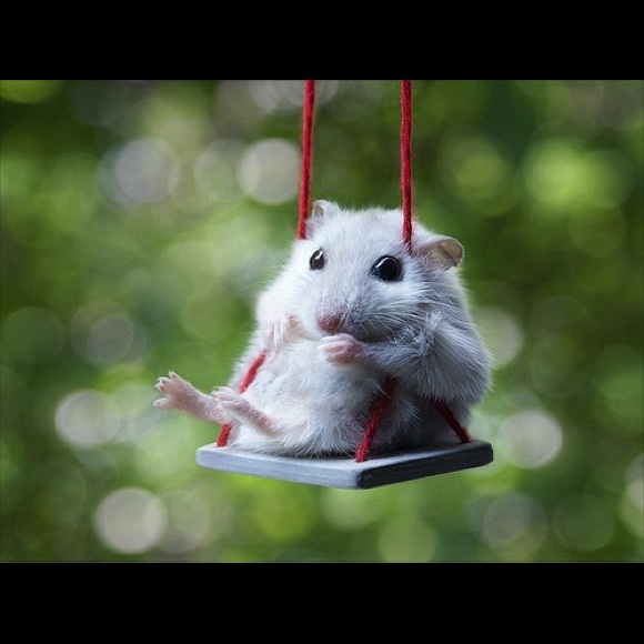 Hilary Hernandez - Poshmark Profile Picture of Hilary Hernandez (@hilaryhern) on Poshmark