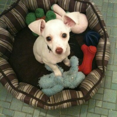 Profile Picture of Sarah Lovelace (@sarahlovelace2) on Twitter