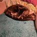 Profile Picture of Cindy Sandefur (@cindy.sandefur.10) on Facebook