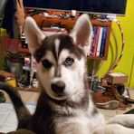 Profile Picture of Keith Broderick (@keith.broderick.779) on Facebook