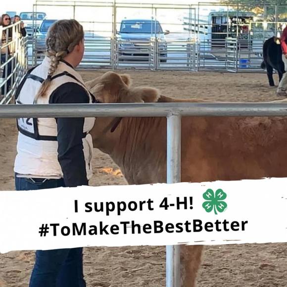 Profile Picture of Renee Phillips (@reneep14) on Poshmark