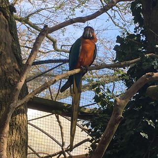 Dilbert Dave - Facebook Profile Picture of Dilbert Dave (@dilbert.dave.9) on Facebook