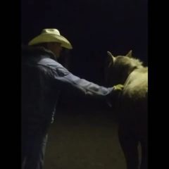 Profile Picture of Chadwick (@chadwickkoenig412) on Tiktok
