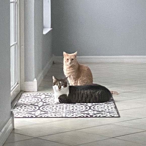 Dana Triestram - Poshmark Profile Picture of Dana Triestram (@dytriestram) on Poshmark