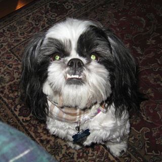 Profile Picture of Tim Eaker (@tim.eaker.3) on Facebook