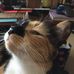 Profile Picture of Connie Suttle (@connie.suttle) on Facebook