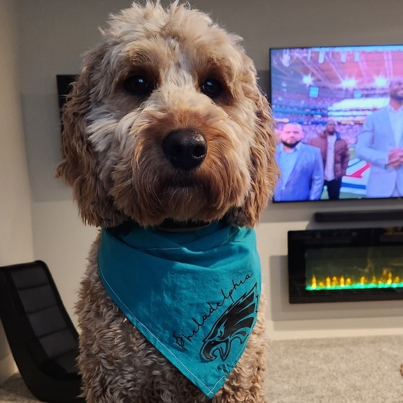 Profile Picture of Teri Soyer (@terisoyer) on Poshmark