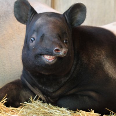 Profile Picture of David Merritt Johns (@davidmjohns) on Twitter