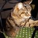 Profile Picture of Ginette Barre (@ginette.barre.14) on Facebook