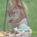 Profile Picture of Jeanne Kealiher (@jmkjmk1981) on Pinterest