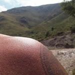 Profile Picture of Guillermo Ojeda (@guillee82) on Instagram