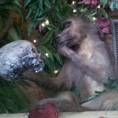 Profile Picture of Kiran Shetty (@morethan1kiran) on Twitter