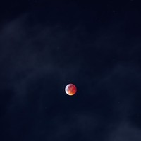Profile Picture of Shalini Choudhary (@shalini-choudhary-112) on Quora