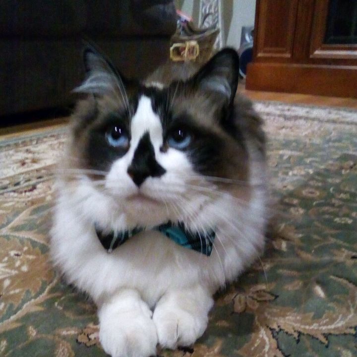 Profile Picture of Eileen Hancock (@eileenhancock) on Tiktok