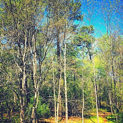 Profile Picture of Max Workman (@MaxWorkman1224) on Twitter