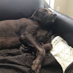 Profile Picture of Michael Trencher (@mike__trencher1) on Instagram