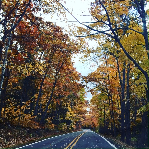 Profile Picture of Kim Stamps (@kdstamps) on Poshmark