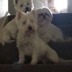 Profile Picture of Clare Marven (@clare.marven.733) on Facebook