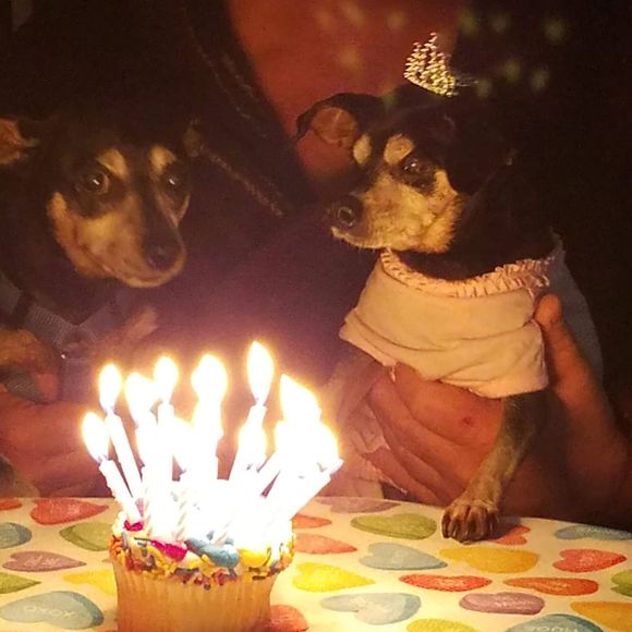 Profile Picture of Patti Spino (@pspino1) on Poshmark